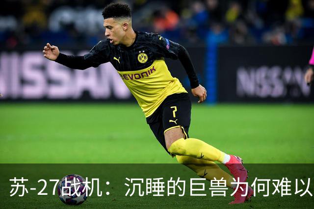 苏-27战机：沉睡的巨兽为何难以觉醒？
